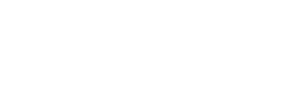 light logo